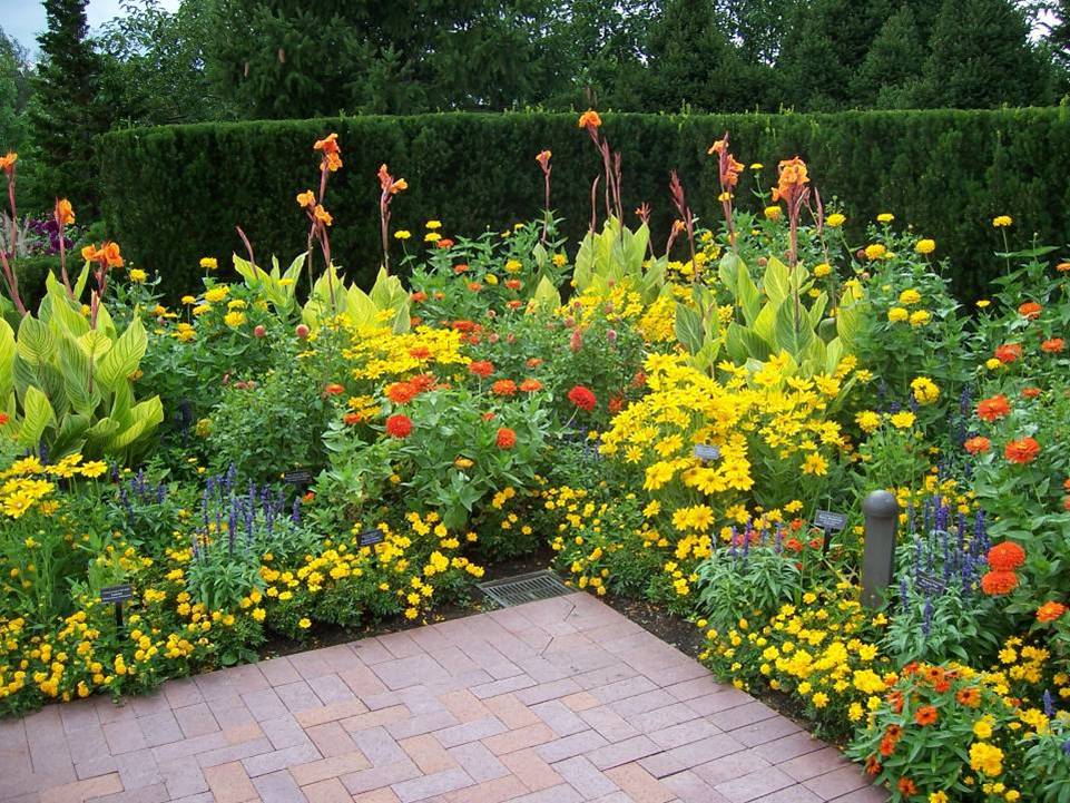 landscaping color schemes